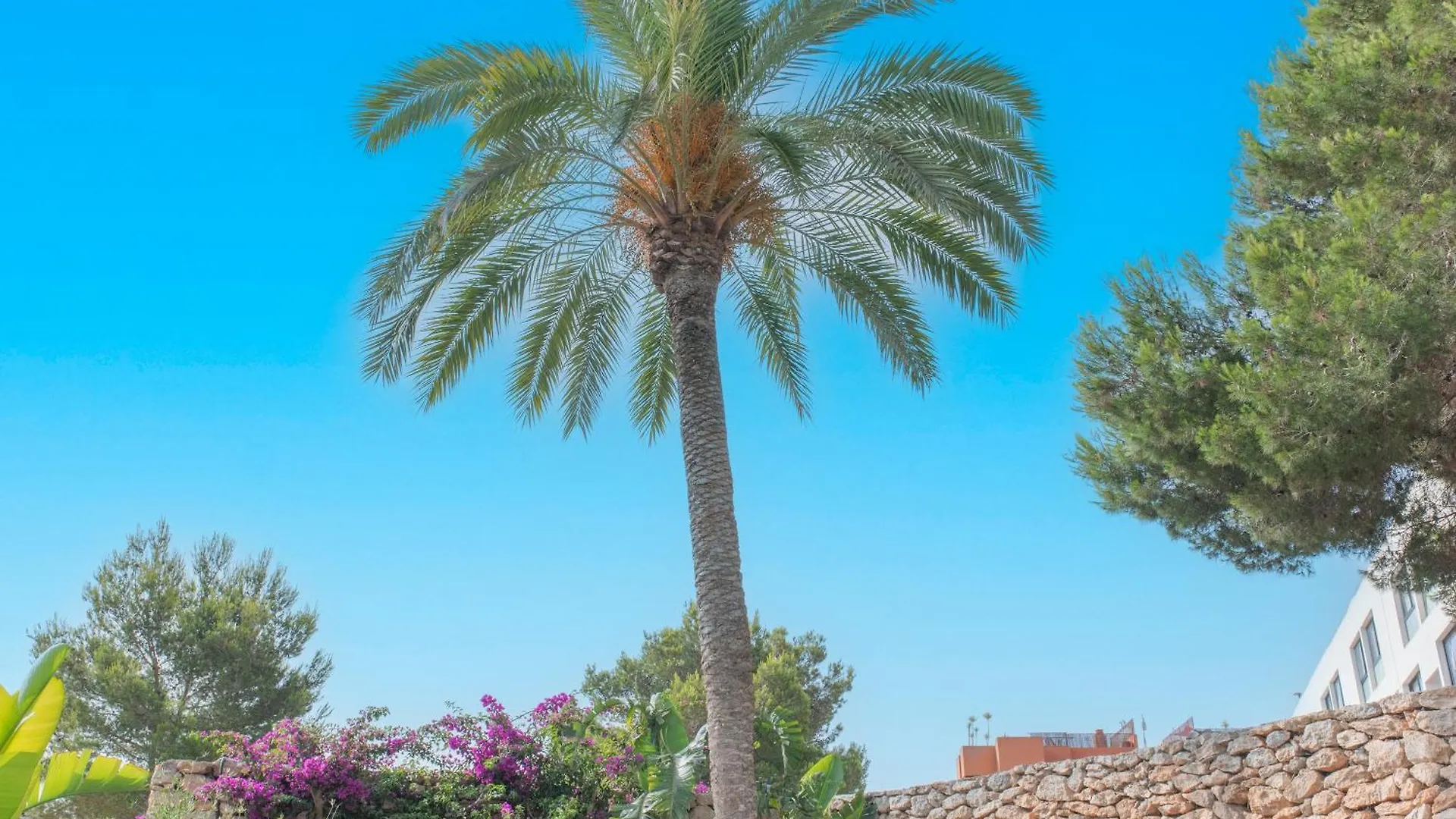Chic Ibiza Villa Nearby Olivera Beach Santa Eulária des Riu